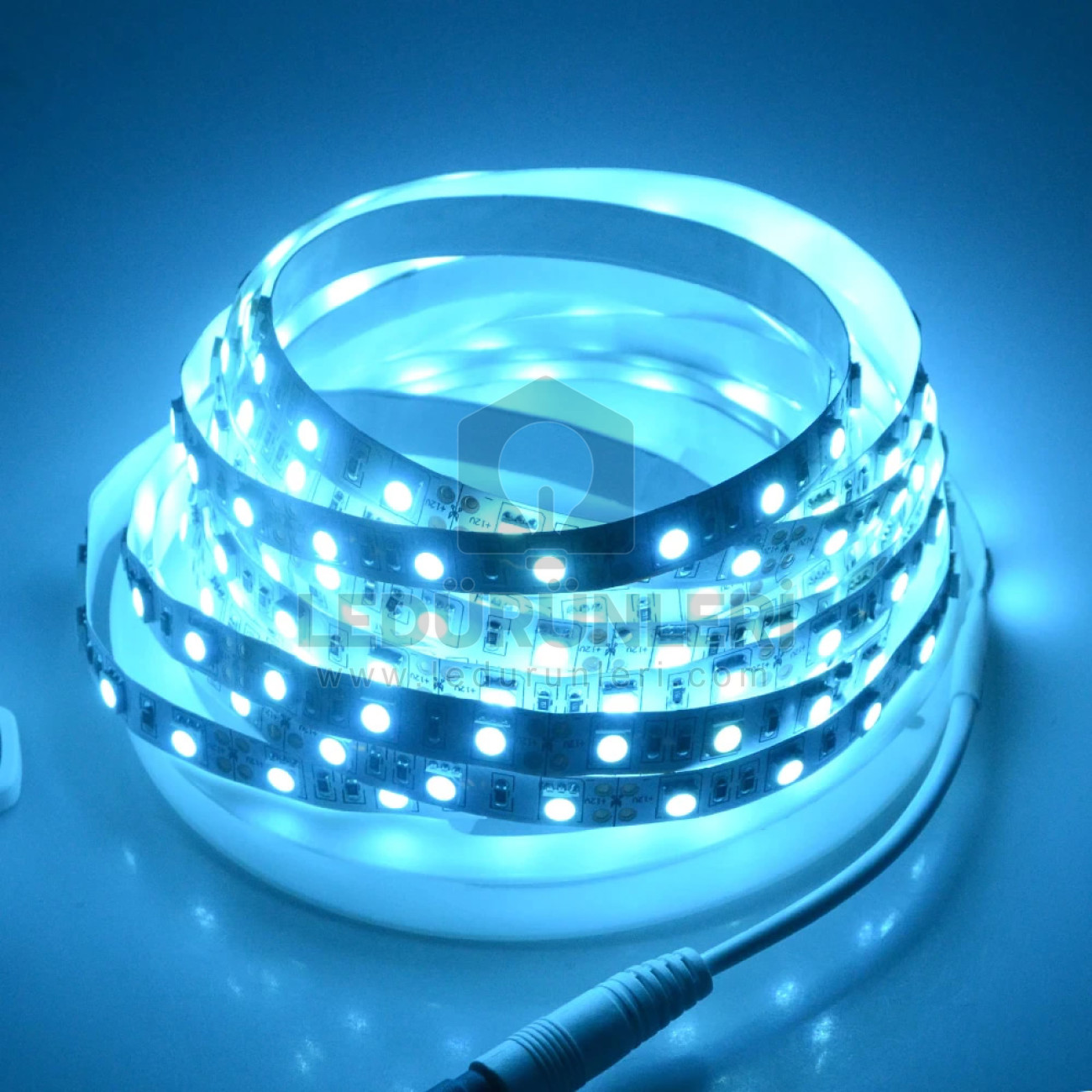 LEDLEN 3 Çipli İç Mekan Buz Mavisi (Turkuaz) Şerit Led 5 Metre