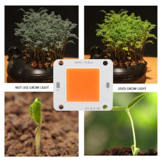 Bitki Gelişimi Bitki Yetiştirme Ledi 36v 50w Projektör Full Spectrum Aydınlatma Grow Light çip