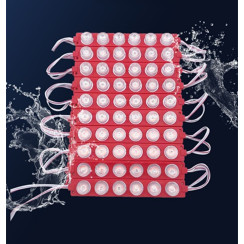 6W DC12V IP67 SMD 3030LED Dış Mekan 6Lı Modül Led