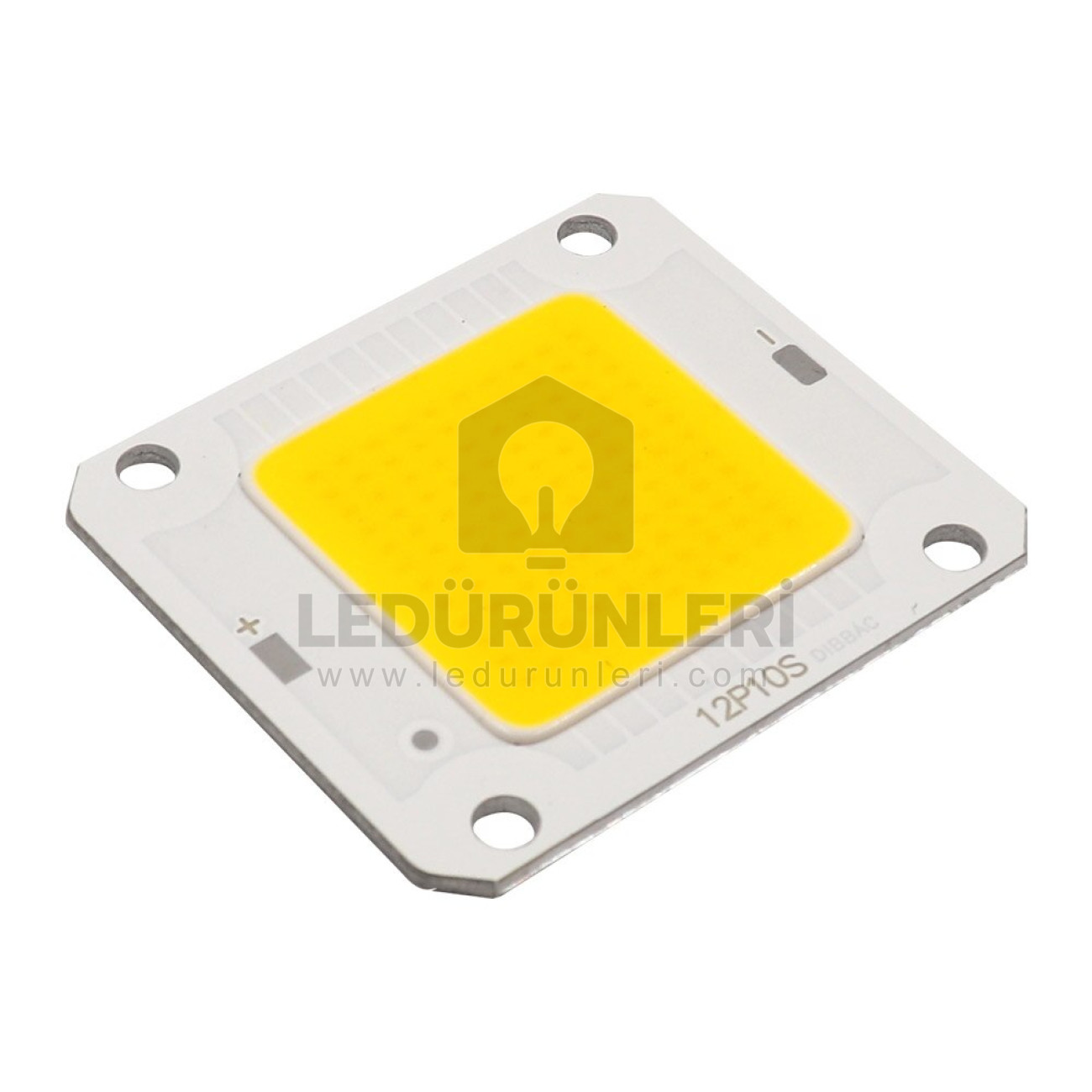 LEDLEN 4640 50W 12v Cob Led Projektör Ledi