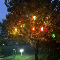 Dekoratif Ledli Ağaç Feneri (5 Adet)