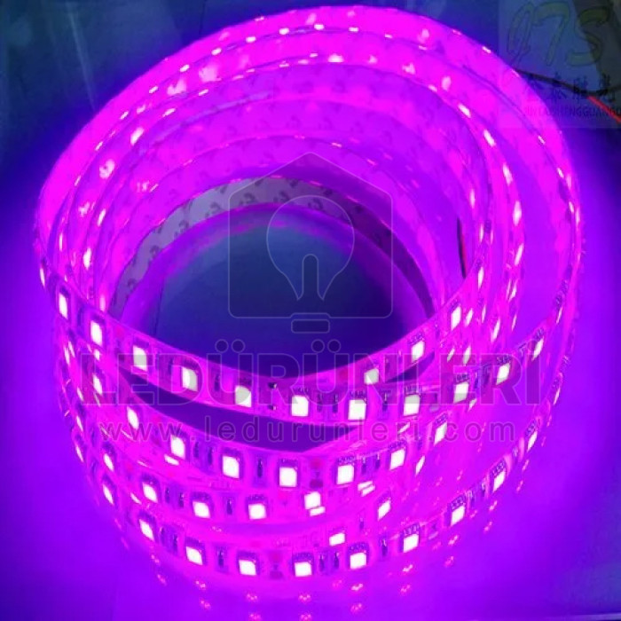 12v. Pembe Şerit Led İç Mekan (5 Metre) - LED.01070