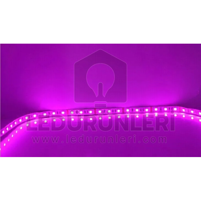 LightGo 12v. Pembe Şerit Led İç Mekan (5 Metre)