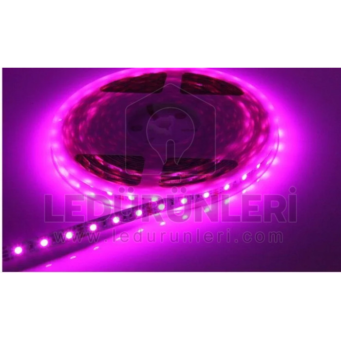 12v. Pembe Şerit Led İç Mekan (5 Metre) - LED.01070
