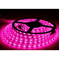 12v. Pembe Şerit Led İç Mekan (5 Metre)