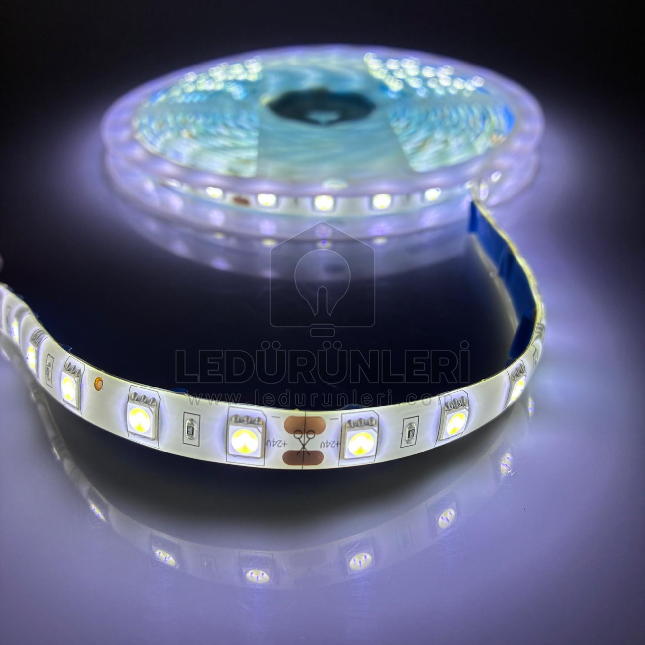 LEDLEN 24v 3 Çipli 5050 60Led/m Şerit Led Dış Mekan Silikonlu (IP65) (5 Metrelik)