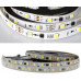 LightGo Tavan-Duvar Kayar Animasyonlu Pixel Şerit LED Hazır Set