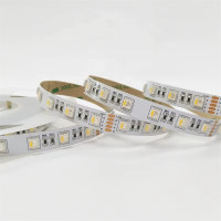 24v RGBW & RGBWW Şerit Led IP20 İç Mekan (5 Metre)