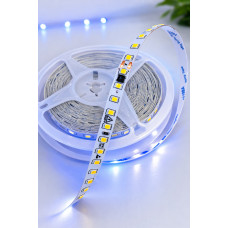 220V Şerit LED IP20 İç Mekan | 120 LED/m Yüksek Işık – 10 Metre Rulo