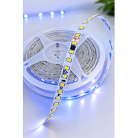 220V Şerit LED IP20 İç Mekan | 120 LED/m Yüksek Işık – 10 Metre Rulo