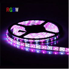 12V RGB+White İç Mekan Şerit Led Işık 5 Metre