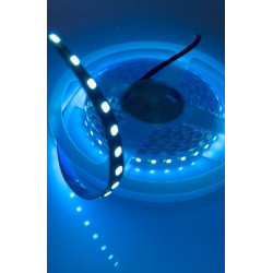 12V 120LED/M 2835 Turkuaz (Buz Mavisi) Şerit Led (5 Metre)