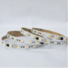 TM512AC DMX512 RGBW 24V Adreslenebilir Dijital Pixel LED Şerit 1MT 60 LED - 5 Metre