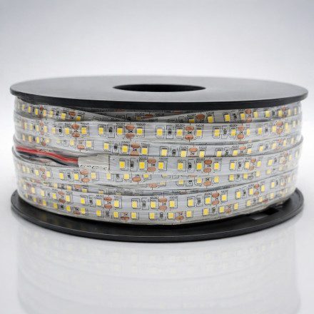 12 Volt 8 mm 2835 SMD Şerit Led 100 Metre Rulo